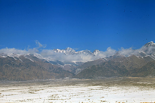 soi cau rong bach kim 247